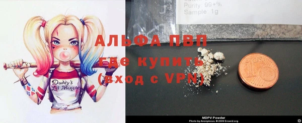 амф Новодвинск