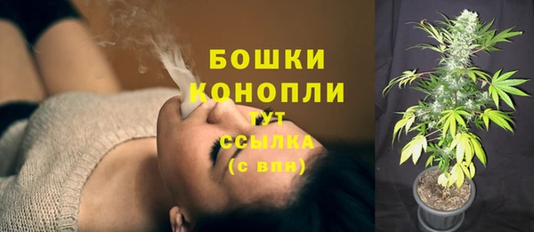 амф Новодвинск