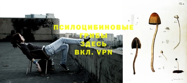 гашик Новокубанск