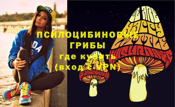 марки nbome Новозыбков