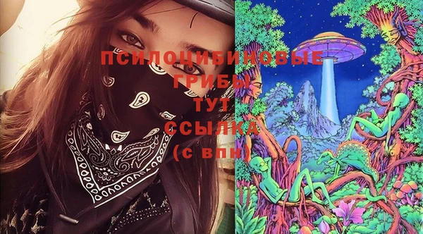 марки nbome Новозыбков