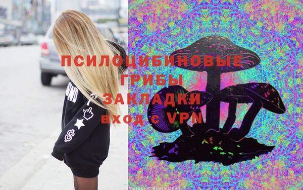 гашик Новокубанск