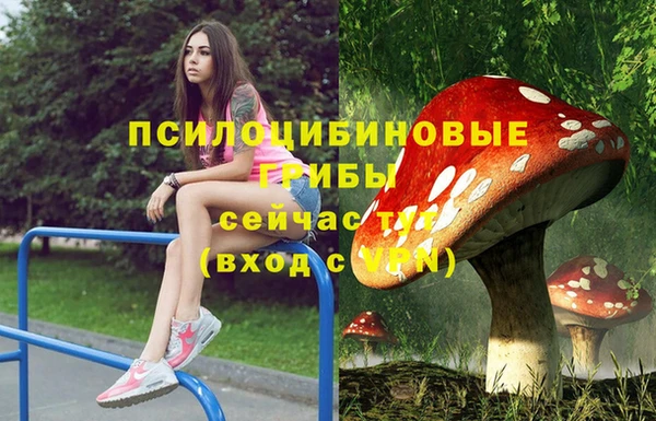 марки lsd Белая Холуница