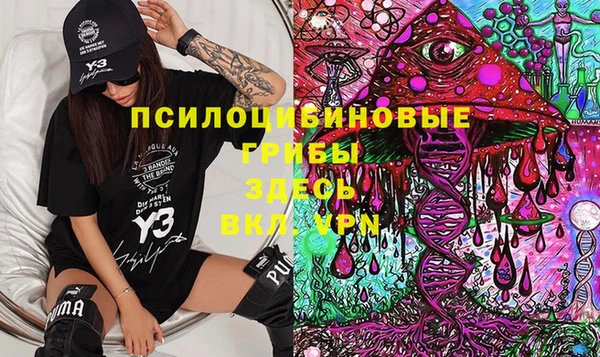 амф Новодвинск