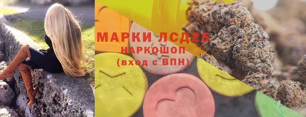гашик Новокубанск