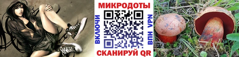 Псилоцибиновые грибы GOLDEN TEACHER  закладка  Лодейное Поле 